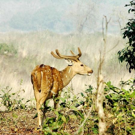 Ibishouse Farm Stay Bharatpur Buitenkant foto
