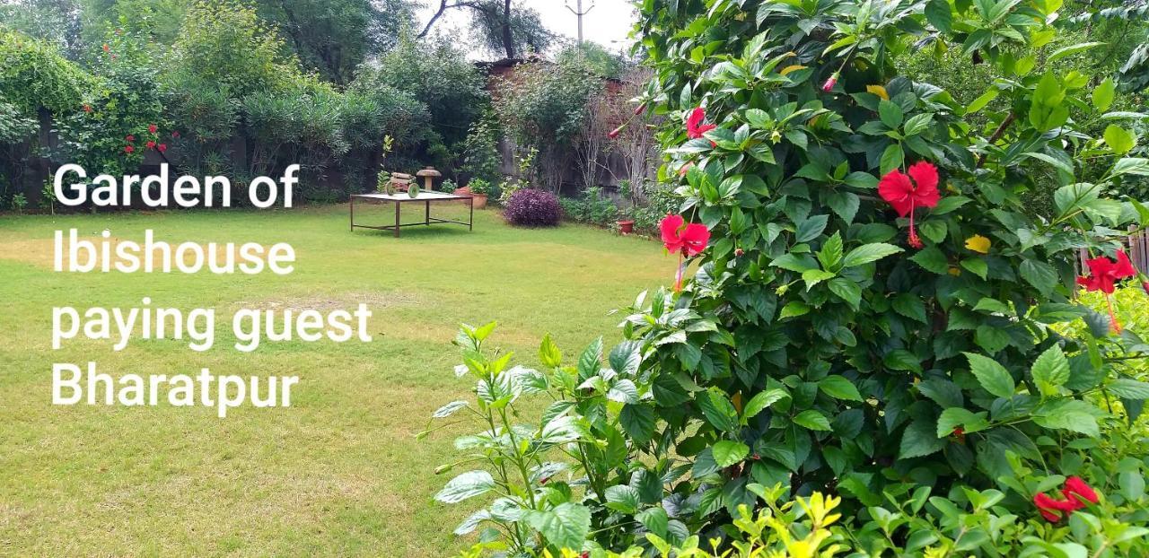 Ibishouse Farm Stay Bharatpur Buitenkant foto