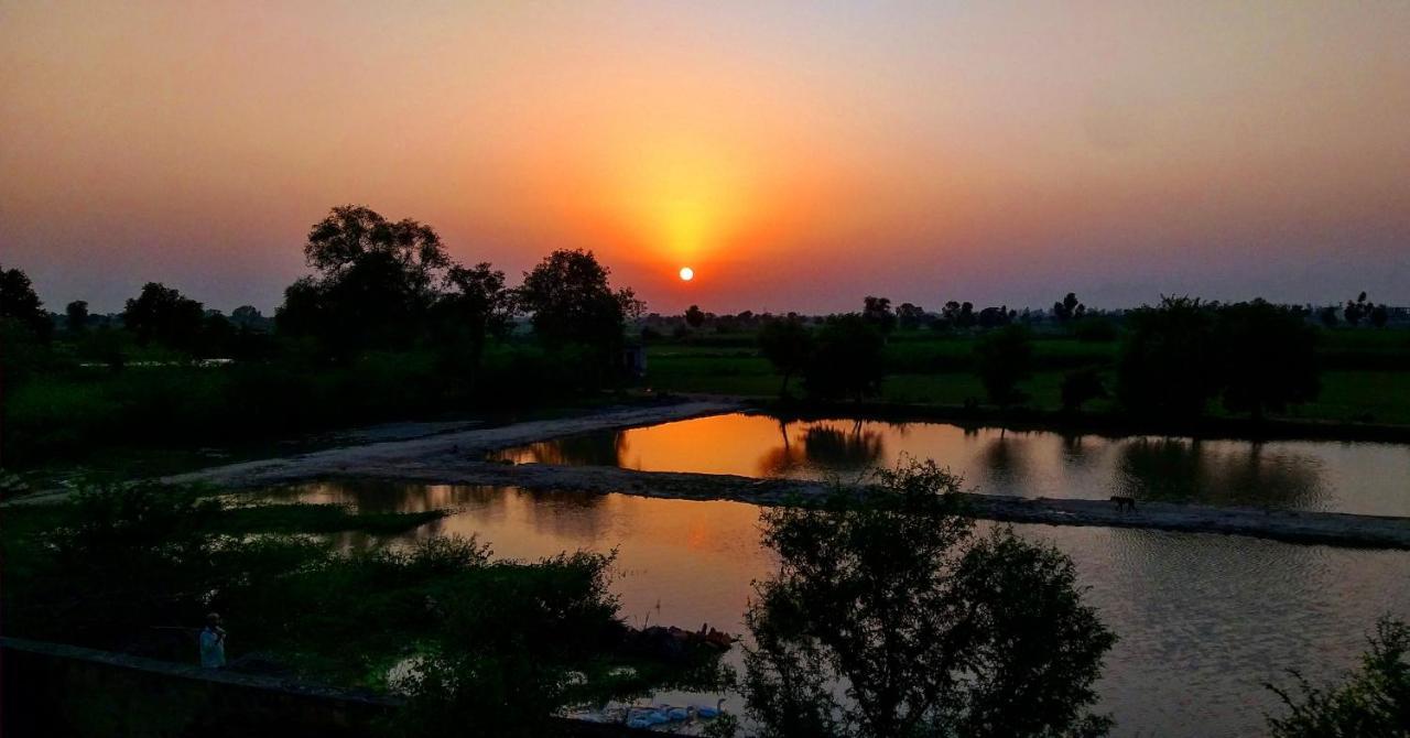 Ibishouse Farm Stay Bharatpur Buitenkant foto
