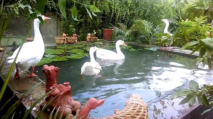 Ibishouse Farm Stay Bharatpur Buitenkant foto
